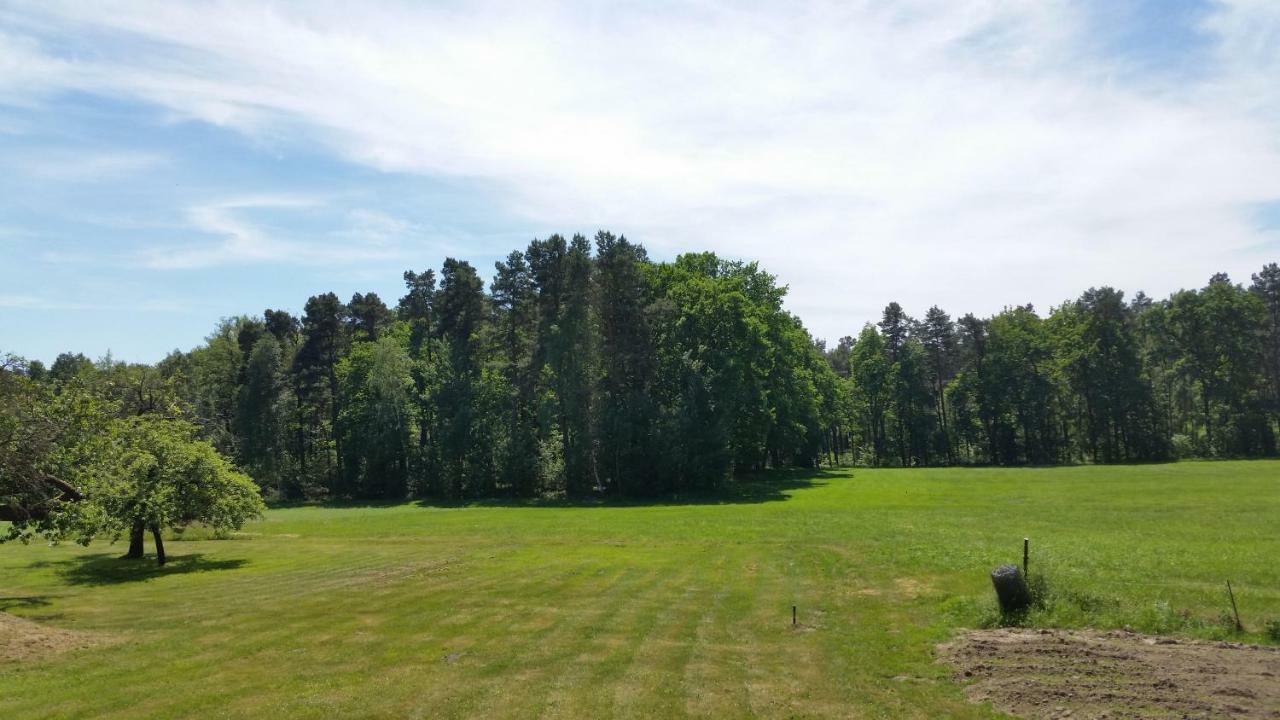Ferienwohnung "Am Weinberg" Bad Schmiedeberg Kültér fotó